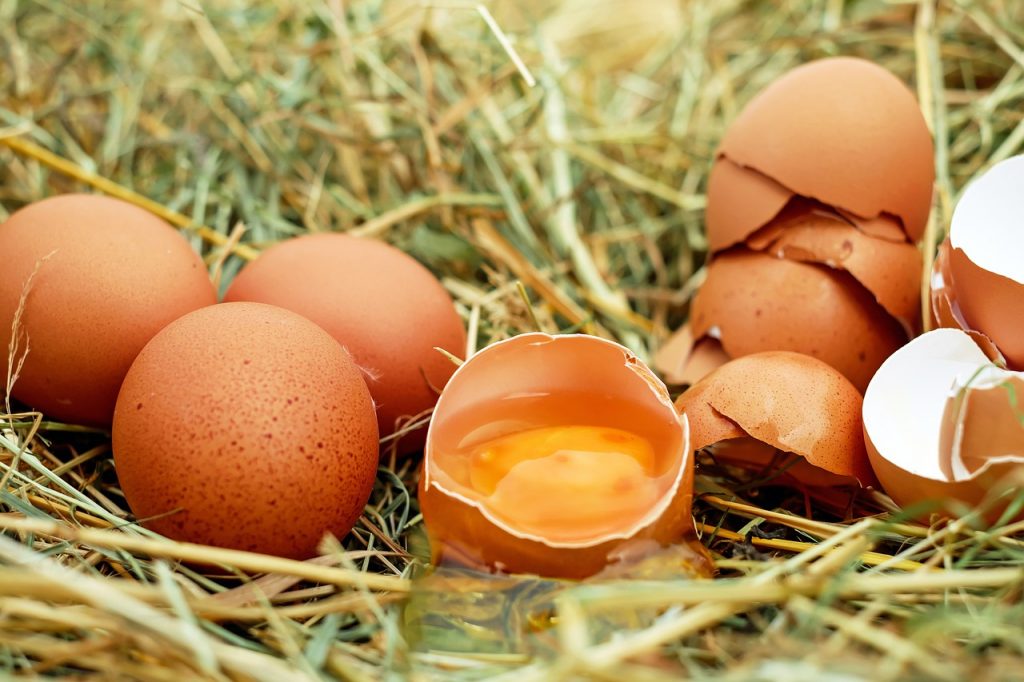 Helfen Eierschalen gegen Schnecken