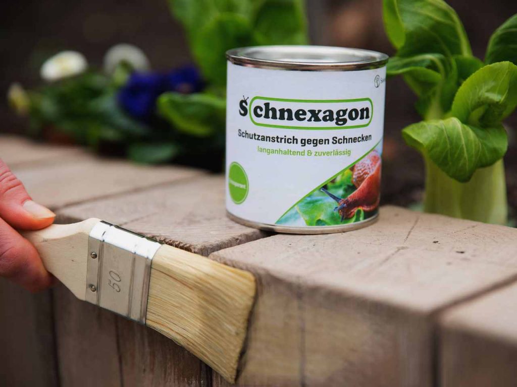 Hilft Schnexagon gegen Schnecken Nacktschnecken im Garten Schneckenschutzanstrich Schutzanstrich