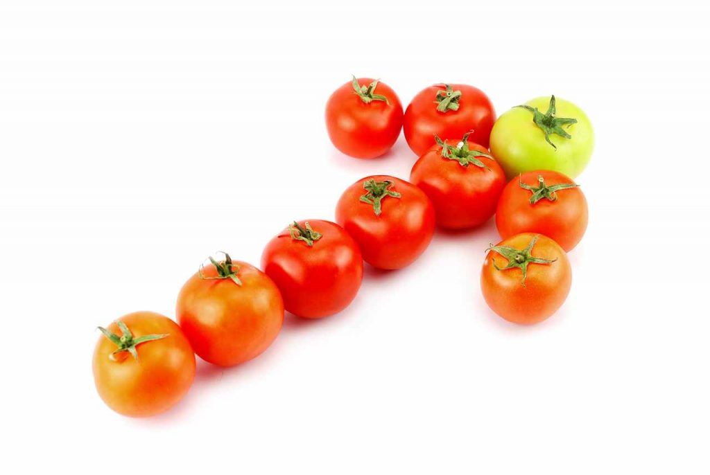 Welche Pflanzen, Kräuter und welches Gemüse fressen Schnecken nicht gerne