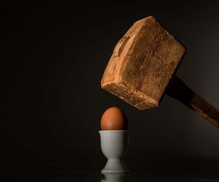 Schnecken bekämpfen: Warum es mit Gewalt nicht klappt? | Fehler & Alternativen. Schnecken Nacktschnecken bekämpfen Schneckenbekämpfung Schneckenhilfe Schneckenabwehr Schnecken Töten Sterben Gift Alternativen