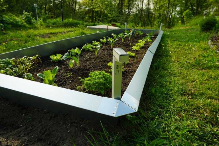 Schneckenschutz im Frühjahr Schneckenplagen vorbeugen Tipps