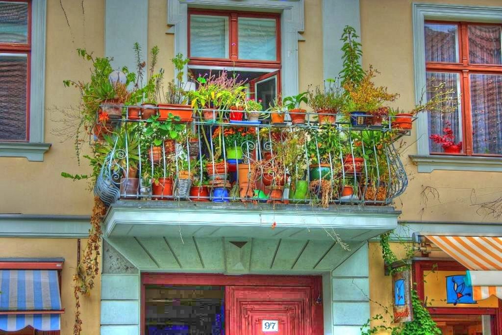 Balkon schnecken