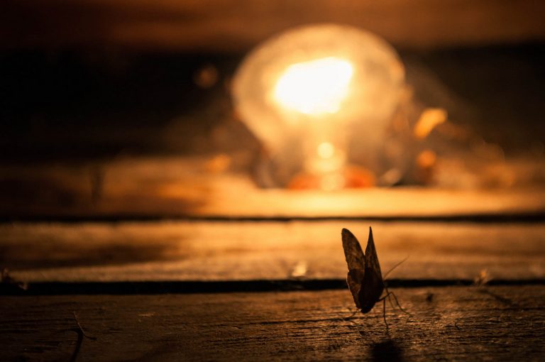insektenfreundliches Licht Beleuchtung