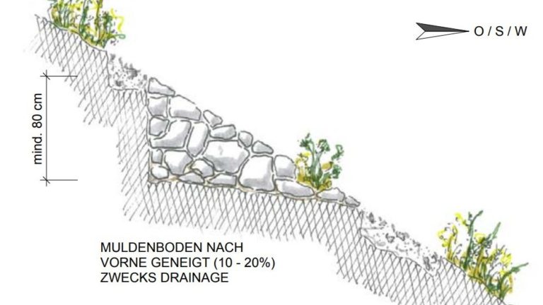 Steinhaufen im Garten Für Eidechsen, Igel, Wiesel & Insekten Tipps
