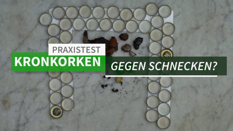 Kronkorken Bierdeckel gegen Schnecken im Test